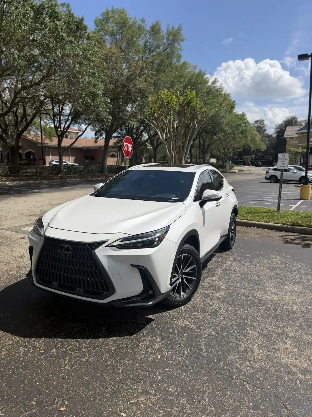 Summit Window Tinting automotive install in Central Florida — Pickup · privacy tint