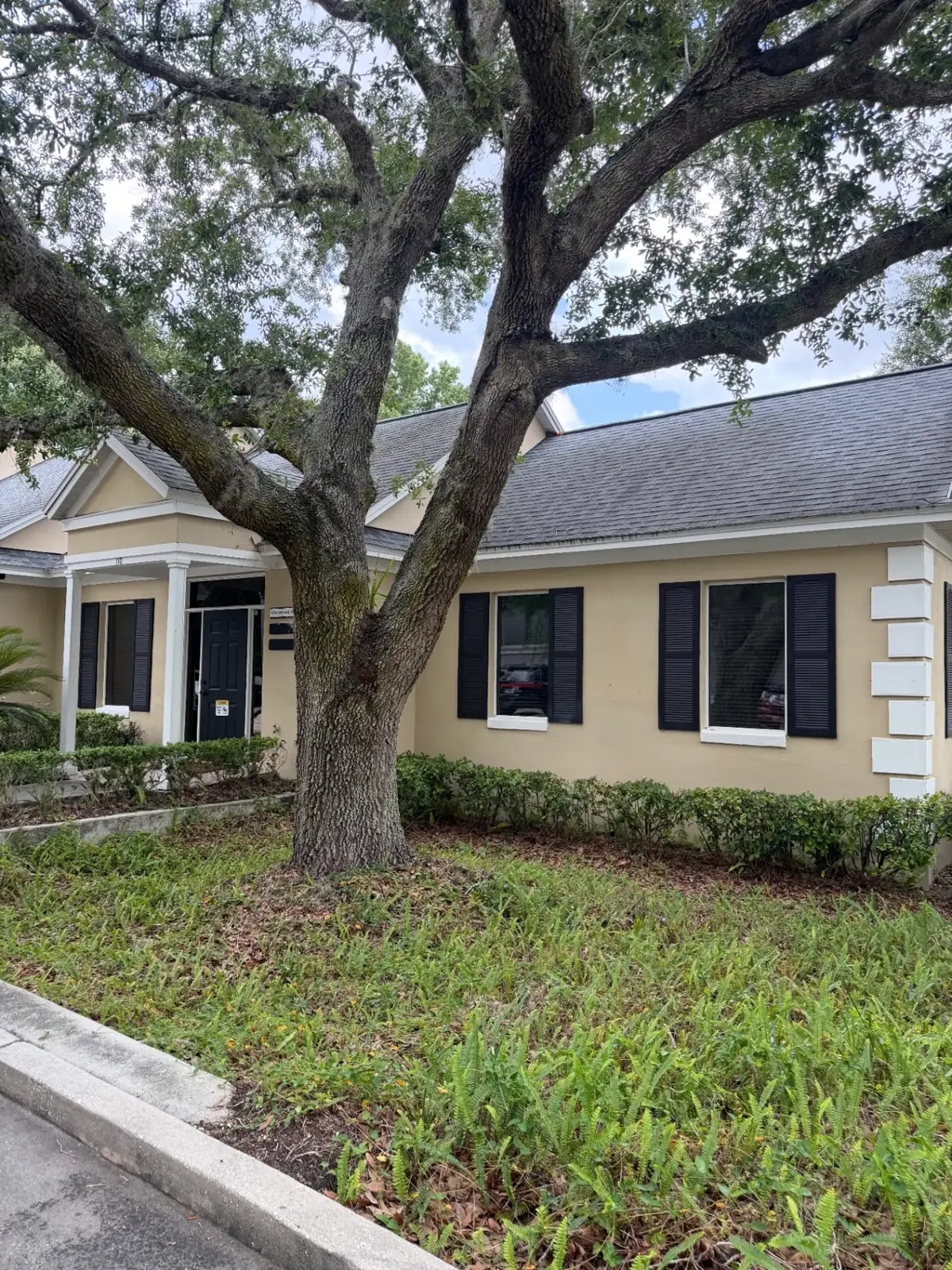 Summit Window Tinting commercial install — Professional office · solar control film